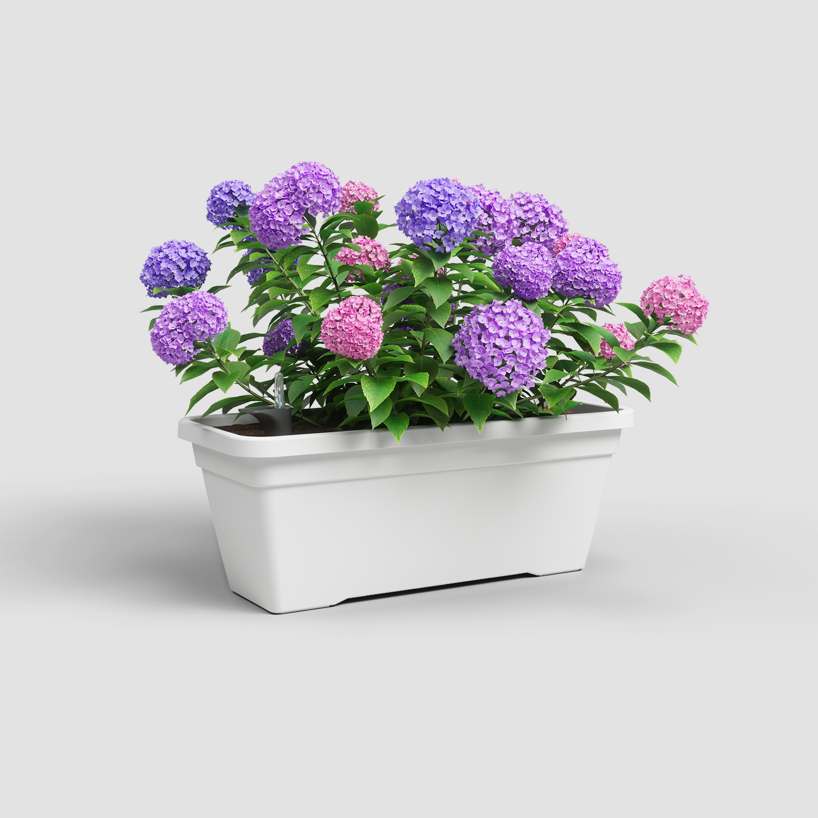 Venezia L Plant Box Self Watering System