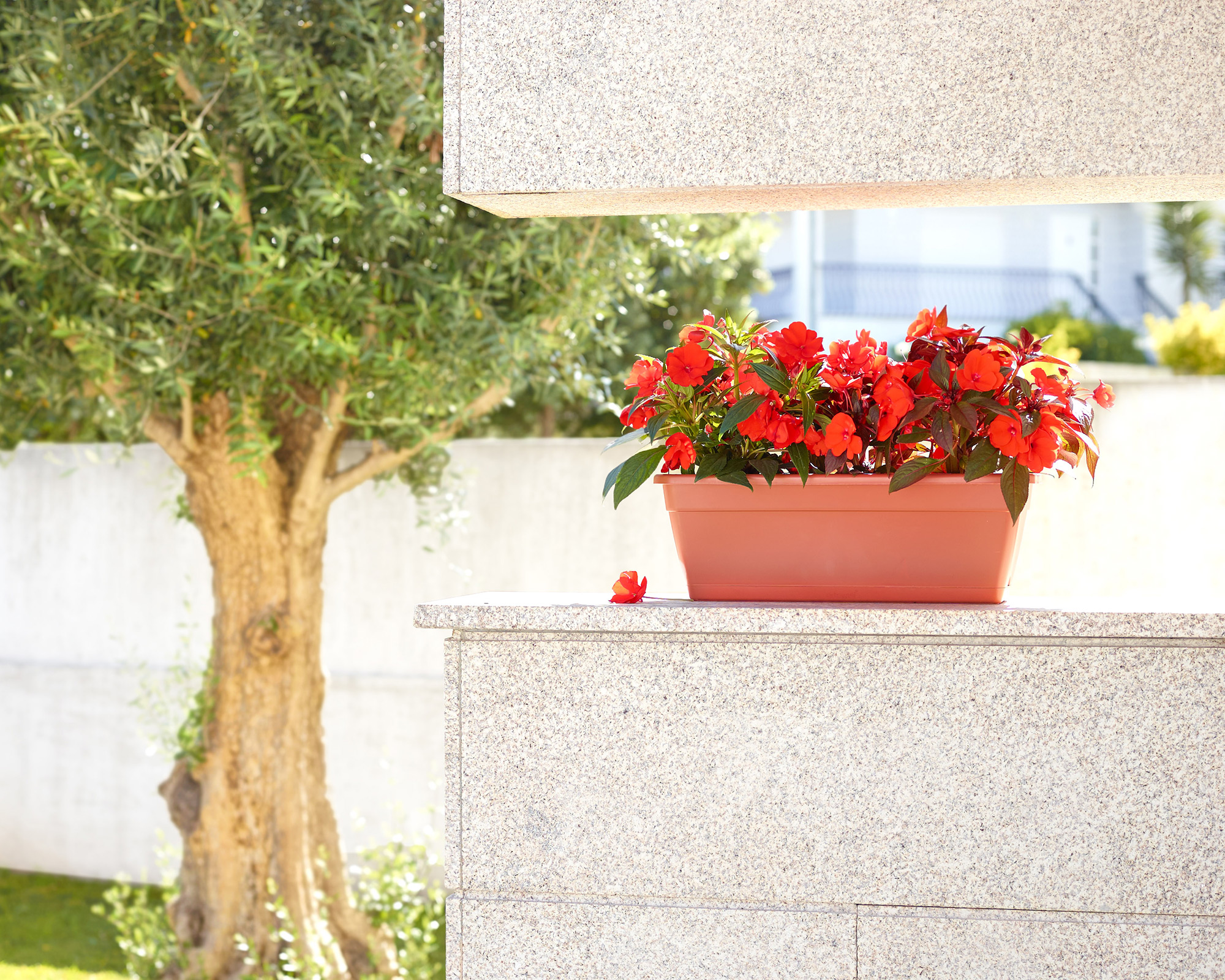 Venezia Plant Box Water Reserve