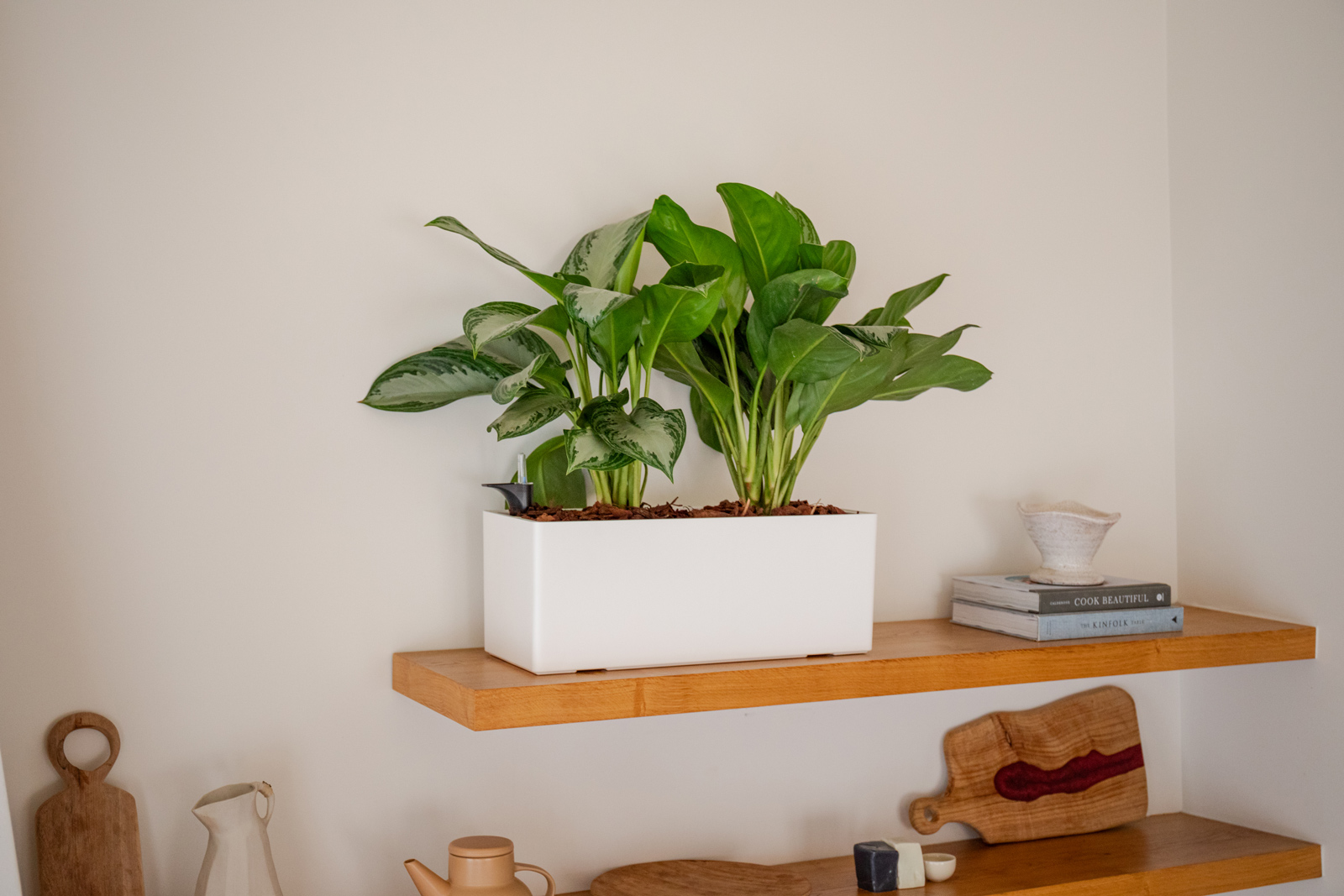 Rimini Plant Box Self Watering System